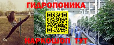 прущие крисы Ипатово