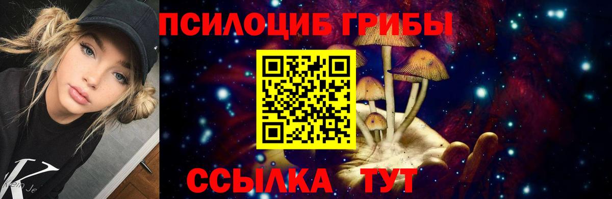 Галлюциногенные грибы Cubensis Кубинка